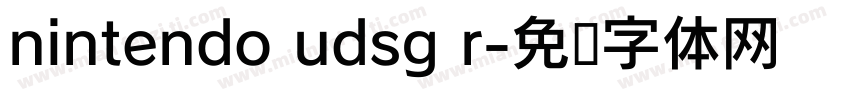nintendo udsg r字体转换